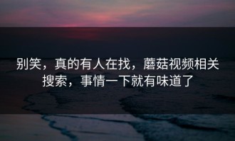 别笑，真的有人在找，蘑菇视频相关搜索，事情一下就有味道了