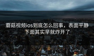 蘑菇视频ios到底怎么回事，表面平静下面其实早就炸开了