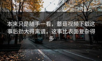 本来只是随手一看，蘑菇视频下载这事后劲大得离谱，这事比表面复杂得多