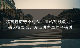 越看越觉得不对劲，蘑菇视频最近后劲大得离谱，没点进去真的会错过