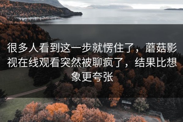 很多人看到这一步就愣住了，蘑菇影视在线观看突然被聊疯了，结果比想象更夸张