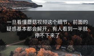 一旦看懂蘑菇视频这个细节，前面的疑惑基本都会解开，有人看到一半就停不下来了