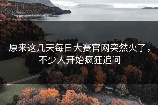 原来这几天每日大赛官网突然火了，不少人开始疯狂追问