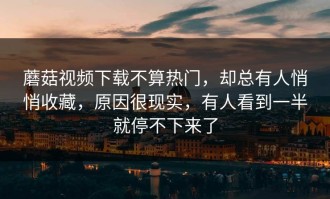 蘑菇视频下载不算热门，却总有人悄悄收藏，原因很现实，有人看到一半就停不下来了
