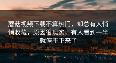 蘑菇视频下载不算热门，却总有人悄悄收藏，原因很现实，有人看到一半就停不下来了