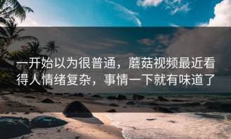 一开始以为很普通，蘑菇视频最近看得人情绪复杂，事情一下就有味道了