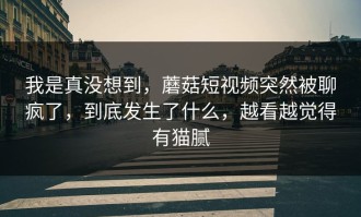 我是真没想到，蘑菇短视频突然被聊疯了，到底发生了什么，越看越觉得有猫腻