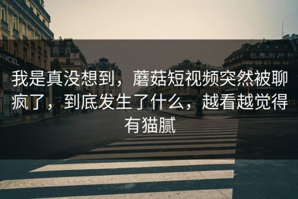 我是真没想到，蘑菇短视频突然被聊疯了，到底发生了什么，越看越觉得有猫腻