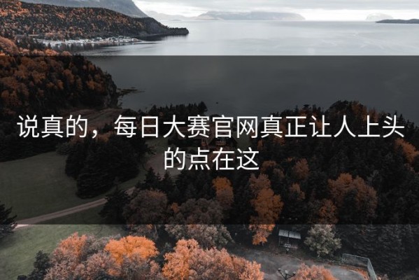 说真的，每日大赛官网真正让人上头的点在这