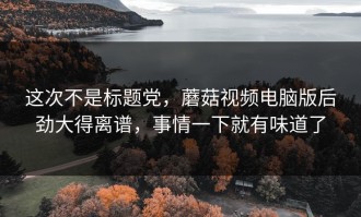 这次不是标题党，蘑菇视频电脑版后劲大得离谱，事情一下就有味道了