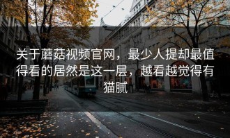 关于蘑菇视频官网，最少人提却最值得看的居然是这一层，越看越觉得有猫腻