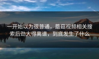 一开始以为很普通，蘑菇视频相关搜索后劲大得离谱，到底发生了什么