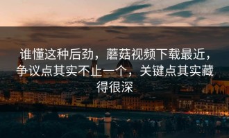 谁懂这种后劲，蘑菇视频下载最近，争议点其实不止一个，关键点其实藏得很深