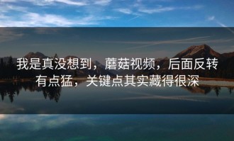 我是真没想到，蘑菇视频，后面反转有点猛，关键点其实藏得很深