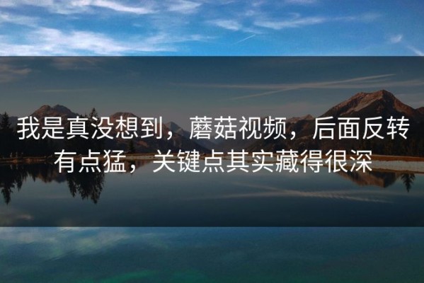 我是真没想到，蘑菇视频，后面反转有点猛，关键点其实藏得很深