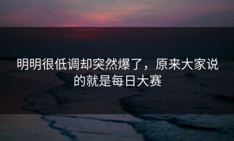 明明很低调却突然爆了，原来大家说的就是每日大赛