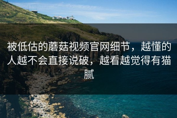 被低估的蘑菇视频官网细节，越懂的人越不会直接说破，越看越觉得有猫腻