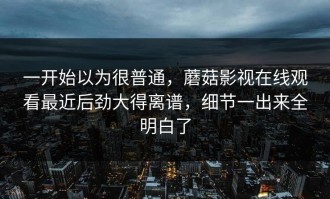 一开始以为很普通，蘑菇影视在线观看最近后劲大得离谱，细节一出来全明白了
