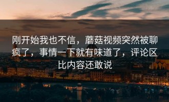 刚开始我也不信，蘑菇视频突然被聊疯了，事情一下就有味道了，评论区比内容还敢说
