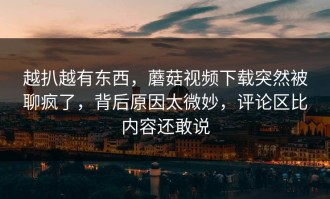 越扒越有东西，蘑菇视频下载突然被聊疯了，背后原因太微妙，评论区比内容还敢说