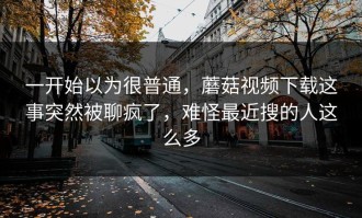 一开始以为很普通，蘑菇视频下载这事突然被聊疯了，难怪最近搜的人这么多