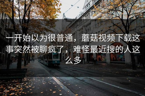 一开始以为很普通，蘑菇视频下载这事突然被聊疯了，难怪最近搜的人这么多
