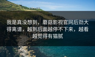 我是真没想到，蘑菇影视官网后劲大得离谱，越到后面越停不下来，越看越觉得有猫腻
