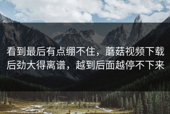 看到最后有点绷不住，蘑菇视频下载后劲大得离谱，越到后面越停不下来
