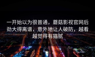 一开始以为很普通，蘑菇影视官网后劲大得离谱，意外地让人破防，越看越觉得有猫腻