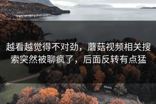 越看越觉得不对劲，蘑菇视频相关搜索突然被聊疯了，后面反转有点猛