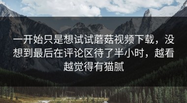 一开始只是想试试蘑菇视频下载，没想到最后在评论区待了半小时，越看越觉得有猫腻