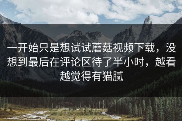 一开始只是想试试蘑菇视频下载，没想到最后在评论区待了半小时，越看越觉得有猫腻