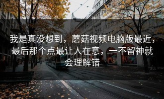 我是真没想到，蘑菇视频电脑版最近，最后那个点最让人在意，一不留神就会理解错