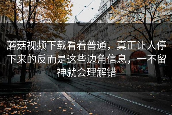 蘑菇视频下载看着普通，真正让人停下来的反而是这些边角信息，一不留神就会理解错