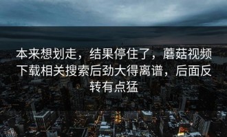 本来想划走，结果停住了，蘑菇视频下载相关搜索后劲大得离谱，后面反转有点猛