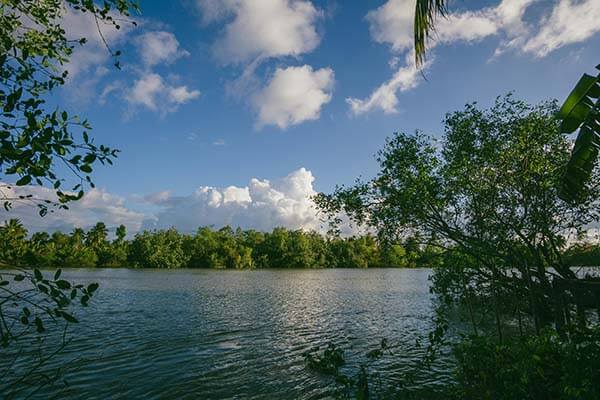 原来大家都在偷偷搜，蘑菇视频app下载相关搜索看得人情绪复杂，意外地让人破防