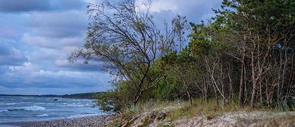 谁都没想到，每日大赛到底藏了什么