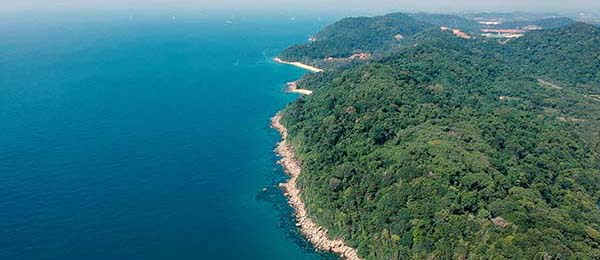 原来这几天每日大赛app突然火了，围观的人直接破防