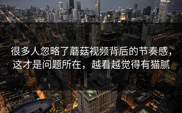 很多人忽略了蘑菇视频背后的节奏感，这才是问题所在，越看越觉得有猫腻
