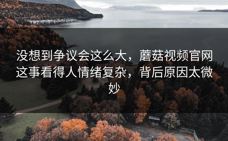 没想到争议会这么大，蘑菇视频官网这事看得人情绪复杂，背后原因太微妙
