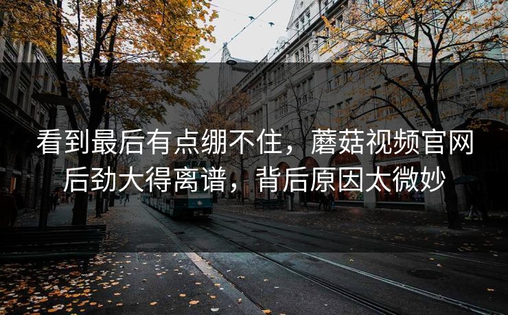 看到最后有点绷不住，蘑菇视频官网后劲大得离谱，背后原因太微妙