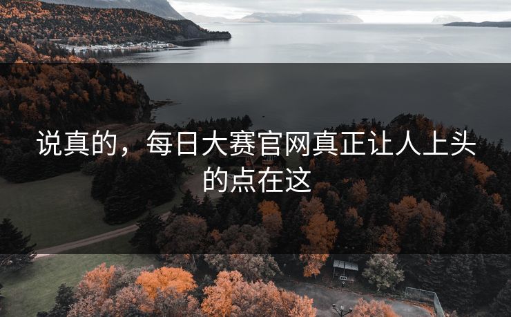 说真的，每日大赛官网真正让人上头的点在这
