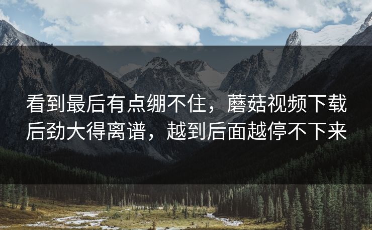 看到最后有点绷不住，蘑菇视频下载后劲大得离谱，越到后面越停不下来
