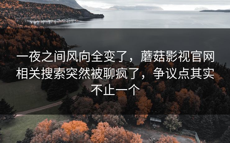 一夜之间风向全变了，蘑菇影视官网相关搜索突然被聊疯了，争议点其实不止一个