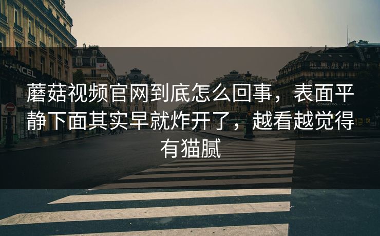蘑菇视频官网到底怎么回事，表面平静下面其实早就炸开了，越看越觉得有猫腻