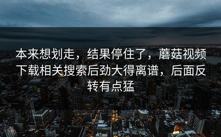 本来想划走，结果停住了，蘑菇视频下载相关搜索后劲大得离谱，后面反转有点猛