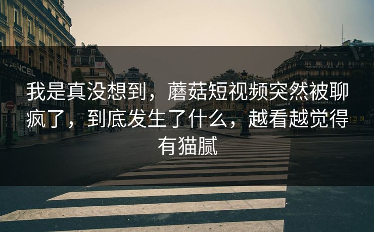 我是真没想到，蘑菇短视频突然被聊疯了，到底发生了什么，越看越觉得有猫腻