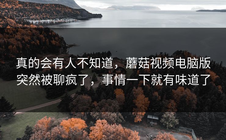 真的会有人不知道，蘑菇视频电脑版突然被聊疯了，事情一下就有味道了