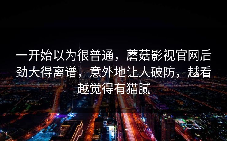 一开始以为很普通，蘑菇影视官网后劲大得离谱，意外地让人破防，越看越觉得有猫腻