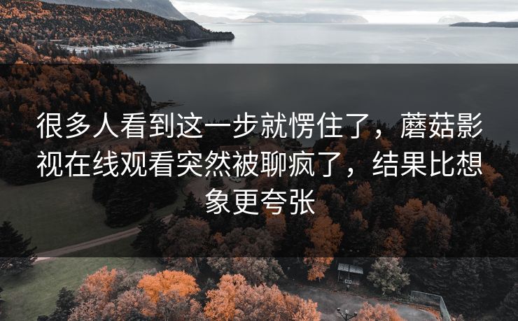 很多人看到这一步就愣住了，蘑菇影视在线观看突然被聊疯了，结果比想象更夸张